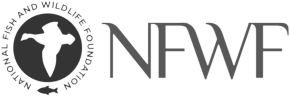 nfwf-logo